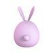 Вакуумный клиторальный стимулятор с вибрацией KisToy Miss KK Purple SO3760 фото 3