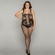 Бодистокинг JSY P81171 Plus Size SO8371 фото 3