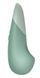 Вібратор Womanizer Vibe Sage SX2146 фото 3