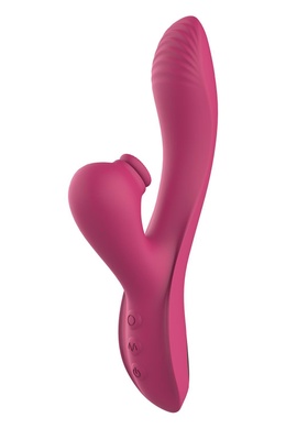 Вібратор кролик подвійної стимуляції Dream Toys Dual G-Spot Vibe Essentials, рожевий DT22092 фото