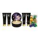 Подарочный набор Shunga GEISHAS SECRETS - Exotic Fruits: для шикарной ночи вдвоем SO7823 фото 2