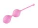 Вагінальні кульки Femintimate Kegel Balls, діаметр 3,5 см, вага 77 г FM40601 фото 1